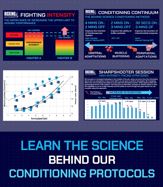 High-Intensity Conditioning for Boxing - E-Book - Image 3