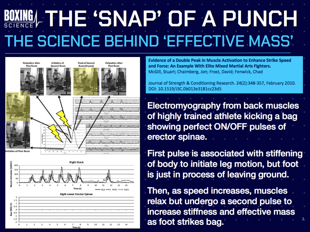 the snap of a punch infographic