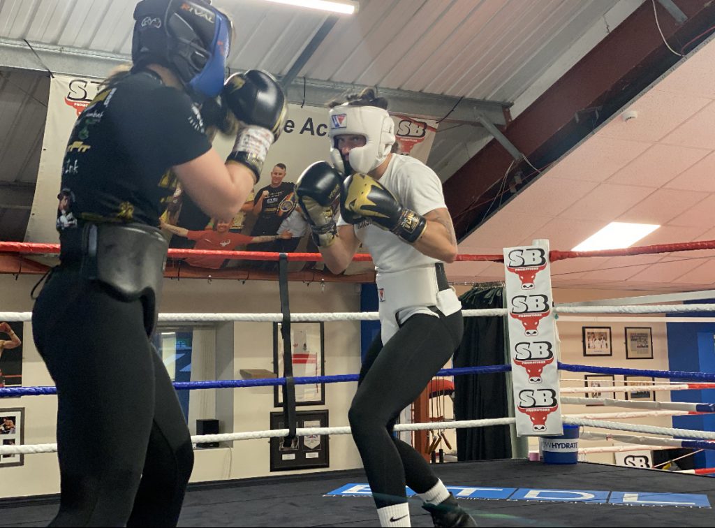 Female boxer iron supplement