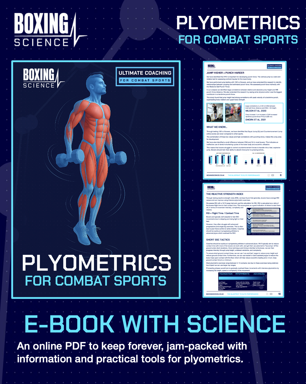Ultimate Plyometrics for Boxing and Combat Sports - Image 3